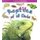 Reptiles of All Kinds ? (Paperback, New ed): Kelly Macauley