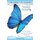 Universal Life Lessons - from My Brilliant Blue Bohemian Butterfly (Paperback): Susan Ball