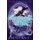 Midnight's Twins (Paperback): Holly Race