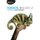 Edexcel Biology 2 A-Level Year 2: Student Workbook 2017 (Paperback): 