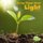 Living Things Need Light (Paperback): Karen Aleo