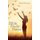 Bible Study Notes (Hardcover): Edward Aboderin