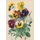 Carnet Ligne Pensees, Dessin 19e Siecle (French, Paperback): Desire Bois