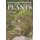 Environmental Physiology of Plants (Paperback, 3rd edition): Alastair H. Fitter, Robert K.M. Hay