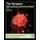 The Synapse - Structure and Function (Hardcover): Virginia Pickel, Menahem Segal