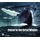 Cler to the Great Whales (Paperback): Peter Trull