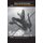 Food, Nutrition and Sports Performance II - The International Olympic Committee Consensus on Sports Nutrition (Paperback): Ron...