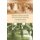 American Indians, the Irish, and Government Schooling - A Comparative Study (Paperback): Michael C Coleman