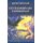 Extraordinary experience (Paperback): Rosie Granger