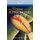The Flying Saucers Are Real (Hardcover): Donald Keyhoe
