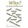 Why We Worship The Way We Do - Why We Worship The Way We Do (Paperback): George M Stover Jr