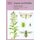 Insects and thistles (Paperback, 2nd Revised edition): Margaret Redfern