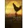 Jackie's Country Family Favorites (Hardcover): Jacqueline Schaar