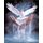 Paint By Numbers 40cmx50cm - White Dove: 