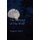 Summer of the Wolf (Paperback): Vaughn E Silcox