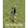 Nadia the wonder goat (Paperback): Mary T Bowen