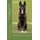apprendre, eduquer, entrainer (French, Paperback): Francois Kiesgen De Richter