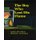 The Boy Who Lost His Flame (Paperback): Luc Beamon