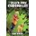 The Black Fire Chronicles - Origins (Paperback): Maria Gandolfo