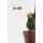 Breathe - 100-page Christian mental health wellness tracker with selected psalms and photo of blooming cactus (Paperback):...