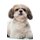 Shih Tzu Affirmations Workbook Shih Tzu Presents - Positive and Loving Affirmations Workbook. Includes: Mentoring Questions,...