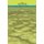 Legends of Babylon and Egypt in Relation to Hebrew Tradition (Paperback): L.W. King, Leonard W King