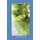 What Paths, What Journeys - New & Selected Poems (Paperback): Samuel Charters