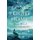 The Long Flight Home (Paperback): Alan Hlad