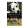 Diabetes in Dogs - A Comprehensive Guide to Diabetes in Dogs (Paperback): Gordon Roberts Bvsc M