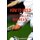 How to Build the Footballer Body - Football Player Training, Build Stamina on the Pitch, Football Player, Short rests, Core...