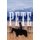Pete (Paperback): Ken Hauldren