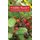 Edible Plants of Newfoundland & Labrador - Field Guide (Paperback): Peter J. Scott