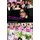 The Korean Wave - Korean Media Go Global (Paperback, New): Youna Kim