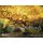 Ashland, Oregon (Hardcover): Barbara Tricarico
