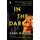 In the Dark - A Novel (Paperback): Cara Hunter