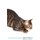 Toyger Cat Affirmations Workbook Toyger Cat Presents - Positive and Loving Affirmations Workbook. Includes: Mentoring...