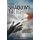 From Shadows To Light (Paperback): Olivia Kachman