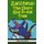 Zaccheus - The Short Guy in the Tree (Paperback): Susan Minton