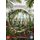 The Green Planet (DVD): David Attenborough