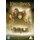 The Lord of the Rings: The Fellowship of the Ring (DVD): Elijah Wood, Sean Bean, Viggo Mortensen, Liv Tyler, Ian McKellen, Ian...