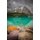 Souvenir of the Canadian Rockies (Paperback): Meghan J Ward