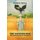 The Taciturn Man - and Other Tales of Australia (Paperback): Geoffrey Gibson