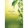 Addresses and Contact Details (Large print, Paperback, Large type / large print edition): Margaret Gregory