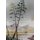 Romanticism and Aesthetic Life in Postcolonial Writing (Hardcover, 1st ed. 2018): Philip Dickinson