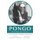 Pongo The Rescue Horse - A Story of Faith, Friendship and Miracles (Paperback): Nick Lewis