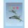 Mirages del Armee de l'Air en la Fuerza Aerea de Chile (Spanish, Paperback): Alexandre Gannier, Raul Zamora Martinez,...