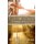Lenten Meditations (Liturgical Year A) (Paperback): Mark Fredericksen
