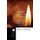 Denuded Devotion to Christ (Hardcover): Larry D. Harwood