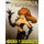 Heroina y Gasoducto #2 (Paperback): Javier Sama Acevedo, Fernando Sosa
