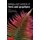 Biology and Evolution of Ferns and Lycophytes (Hardcover): Tom A. Ranker, Christopher H. Haufler